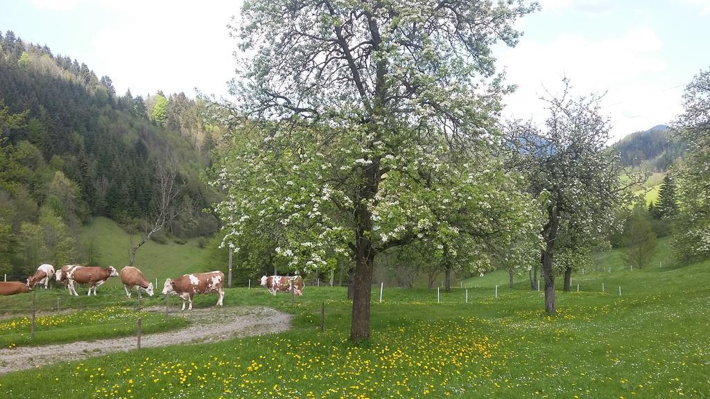 Eggbauer Villa Sankt Anton an der Jessnitz Eksteriør billede